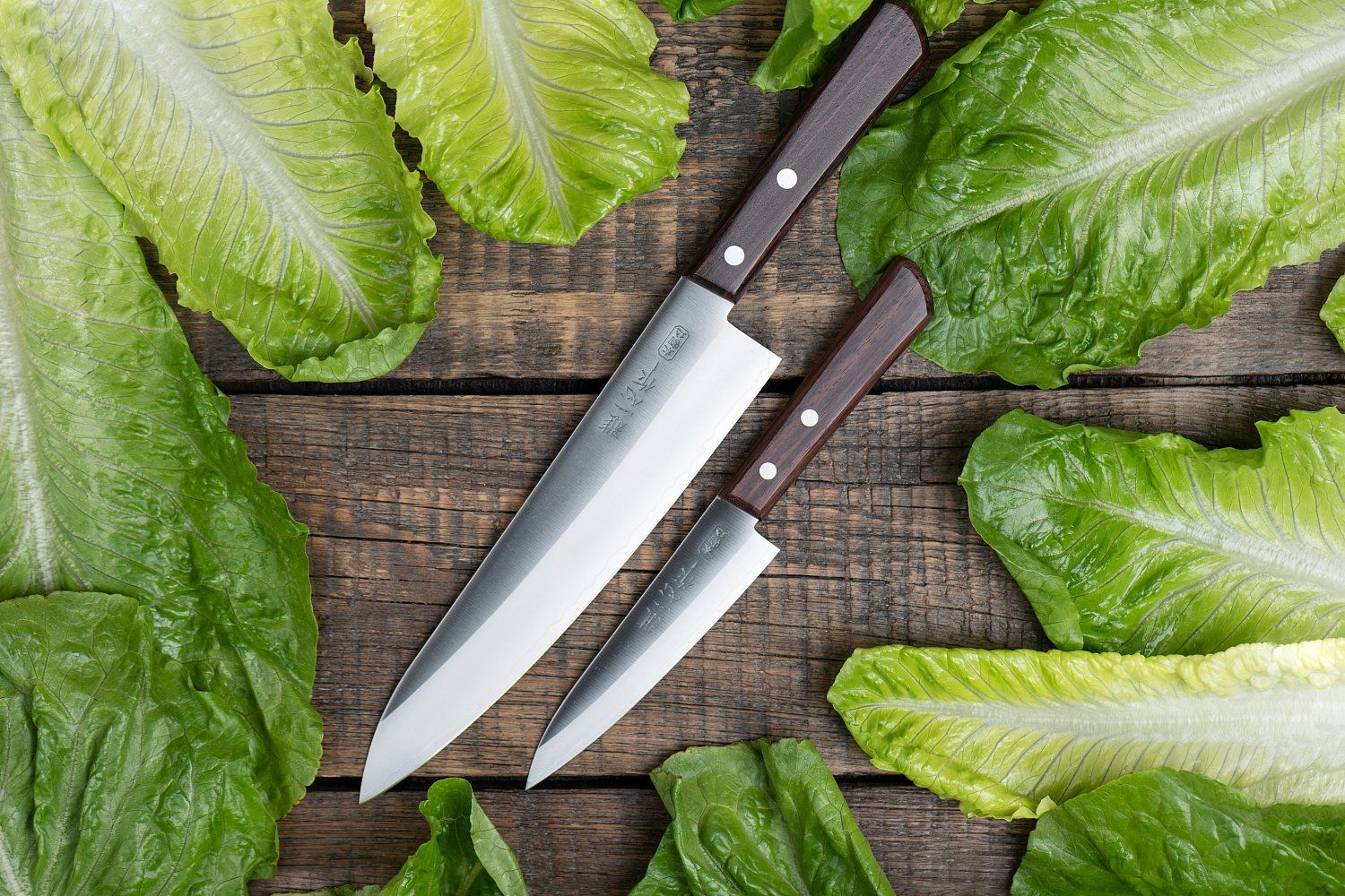 Набор Ножей Kanetsugu SET-KNG001