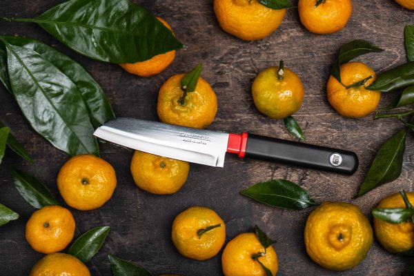 FK-405 Фотография Кухонный Нож FUJI CUT FK-405