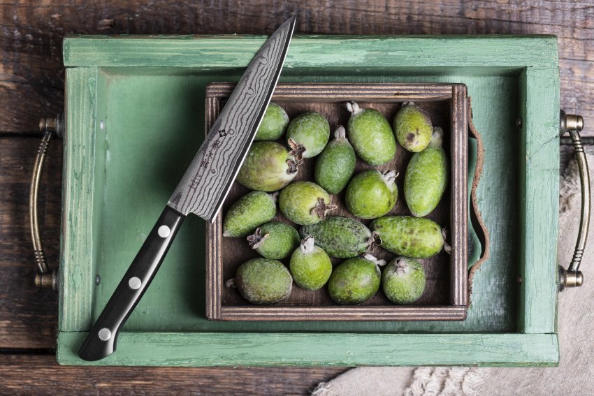 Японский нож TOJIRO F-333