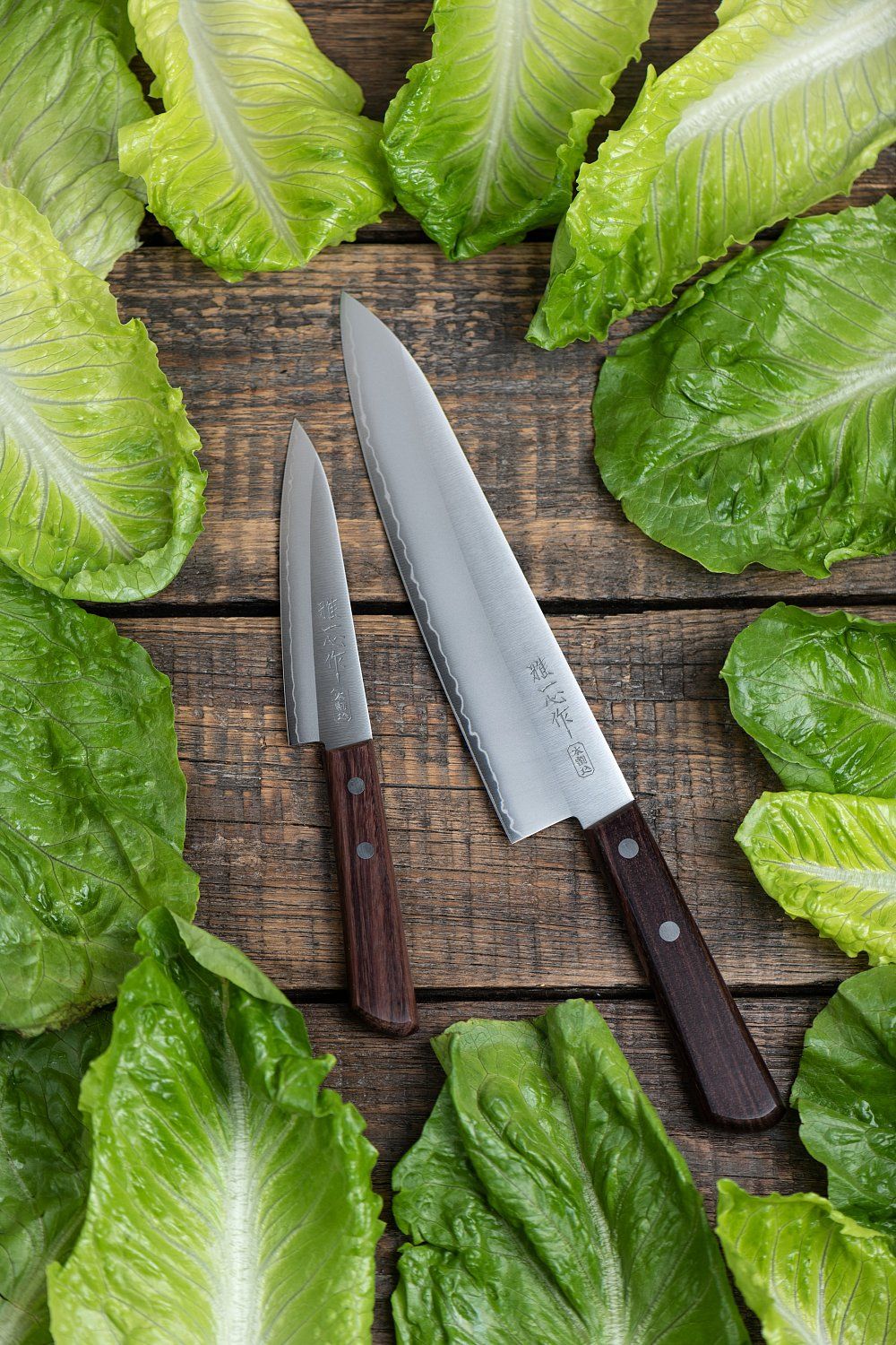 Набор Ножей Kanetsugu SET-KNG001