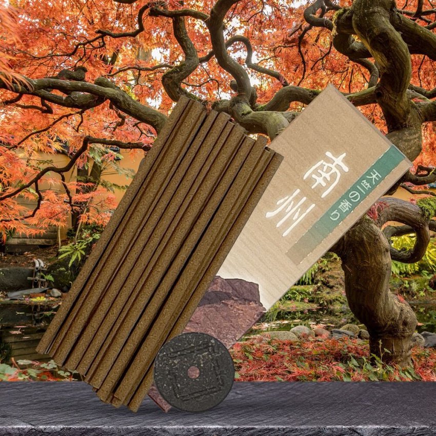 213712 Фотография Благовония Shoyeido Nanshu 213712